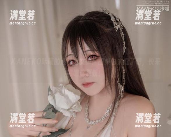 KANEKO咔喵的透明兔女郎：图集也太透了吧，快来瞧瞧这更新！